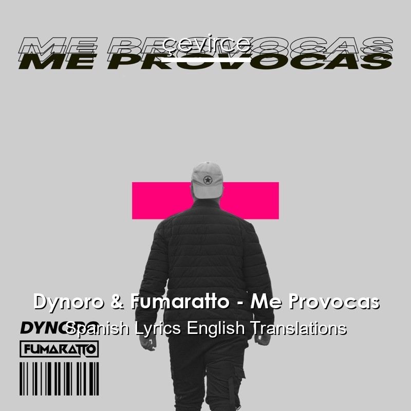 Dynoro & Fumaratto – Me Provocas Spanish Lyrics English Translations