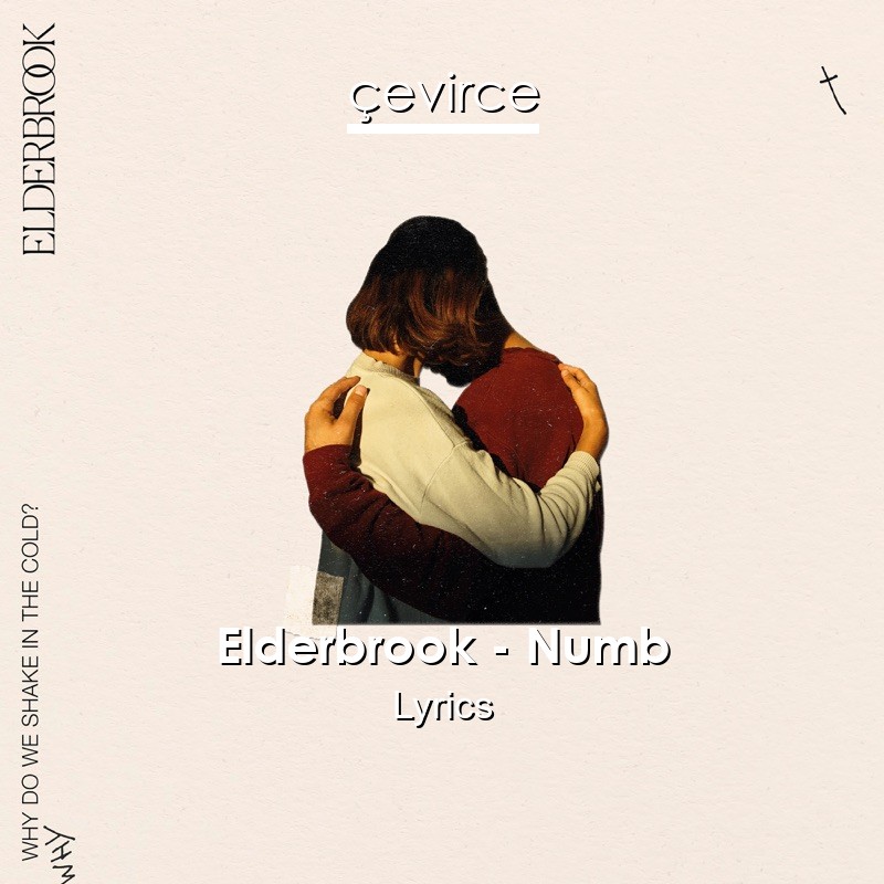 Elderbrook – Numb Lyrics