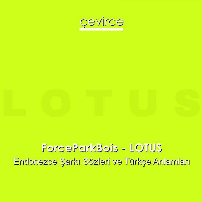 ForceParkBois – LOTUS Endonezce Sözleri Türkçe Anlamları