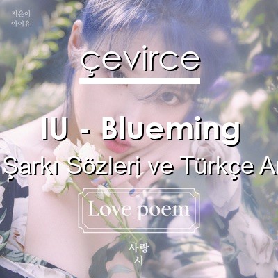 IU – Blueming Korece Sözleri Türkçe Anlamları