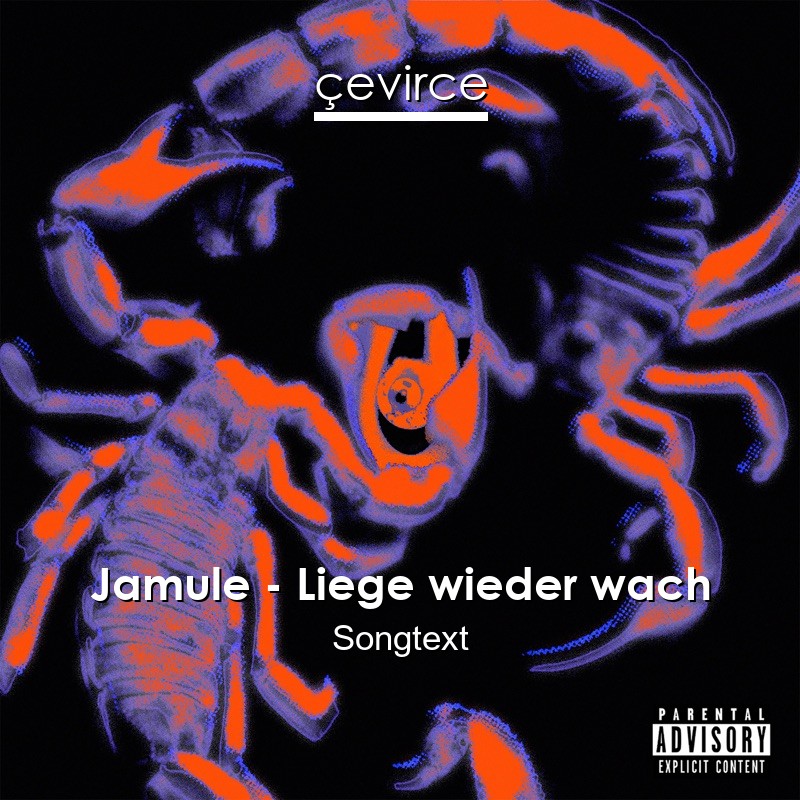 Jamule – Liege wieder wach Songtext