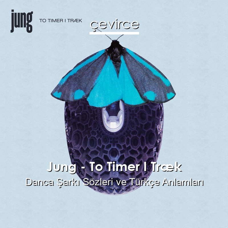 Jung – To Timer I Træk Danca Sözleri Türkçe Anlamları