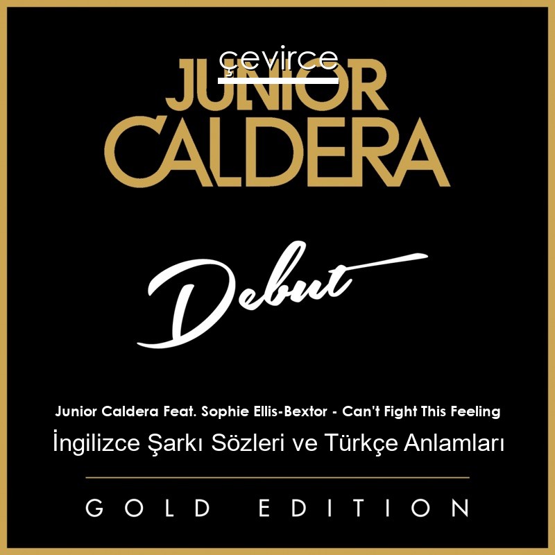 Junior Caldera Feat. Sophie Ellis-Bextor – Can’t Fight This Feeling İngilizce Sözleri Türkçe Anlamları