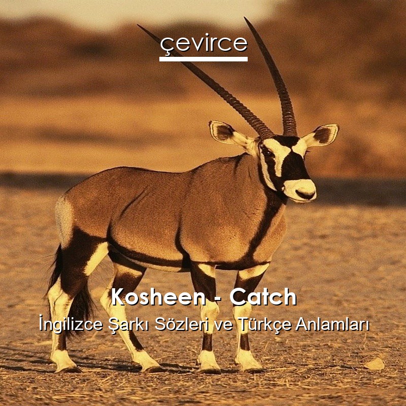 Kosheen – Catch İngilizce Sözleri Türkçe Anlamları