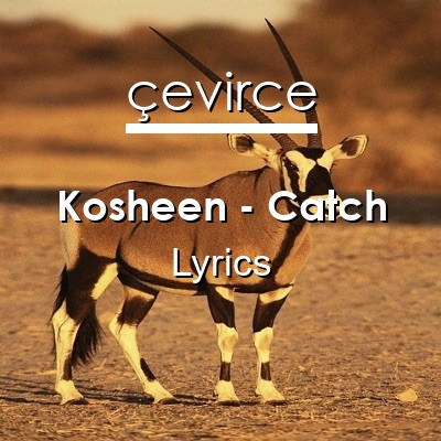 Kosheen – Catch Lyrics