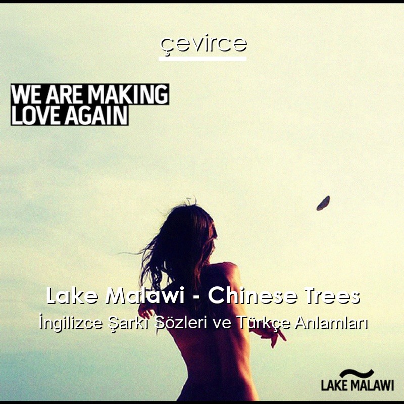 Lake Malawi – Chinese Trees İngilizce Sözleri Türkçe Anlamları