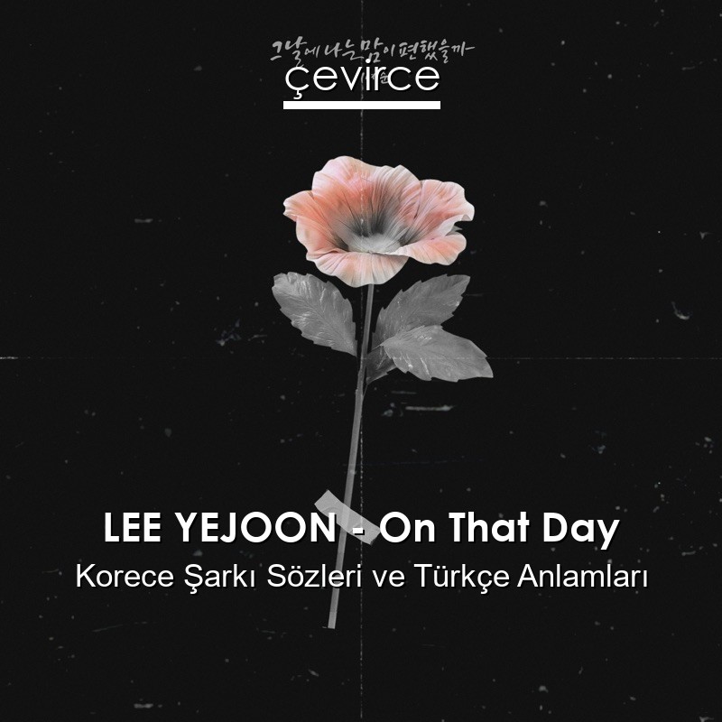 LEE YEJOON – On That Day Korece Sözleri Türkçe Anlamları