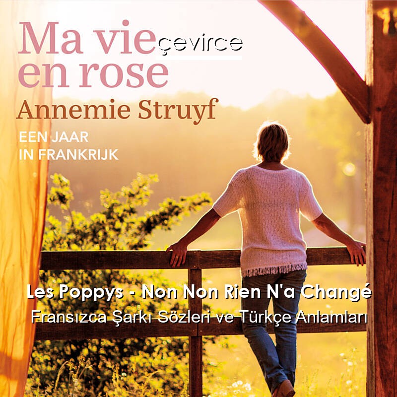Les Poppys – Non Non Rien N’a Changé Fransızca Sözleri Türkçe Anlamları