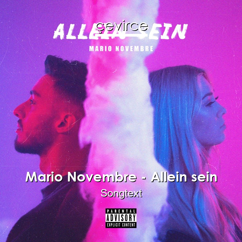 Mario Novembre – Allein sein Songtext