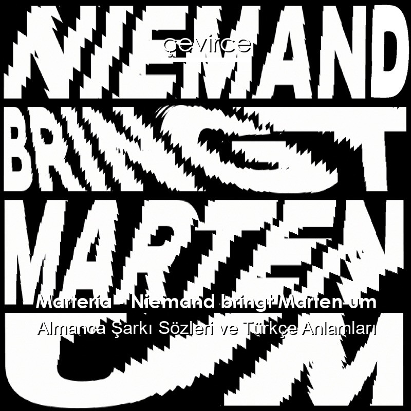 Marteria – Niemand bringt Marten um Almanca Sözleri Türkçe Anlamları