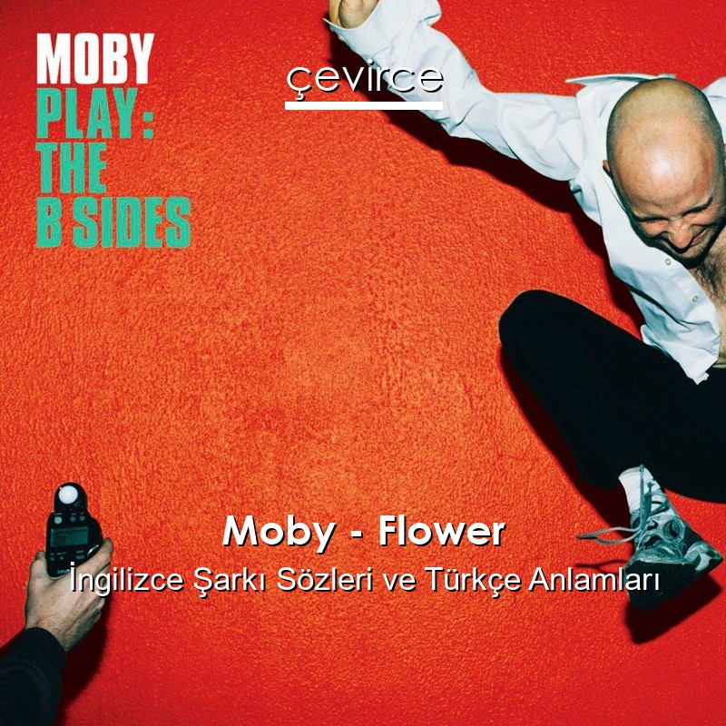 Moby trouble so. Moby play b sides. moby &quot;play (cd)&quot;. moby - everything is wrong. moby honey.