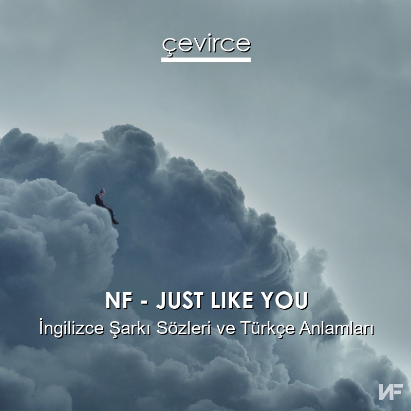 NF – JUST LIKE YOU İngilizce Sözleri Türkçe Anlamları