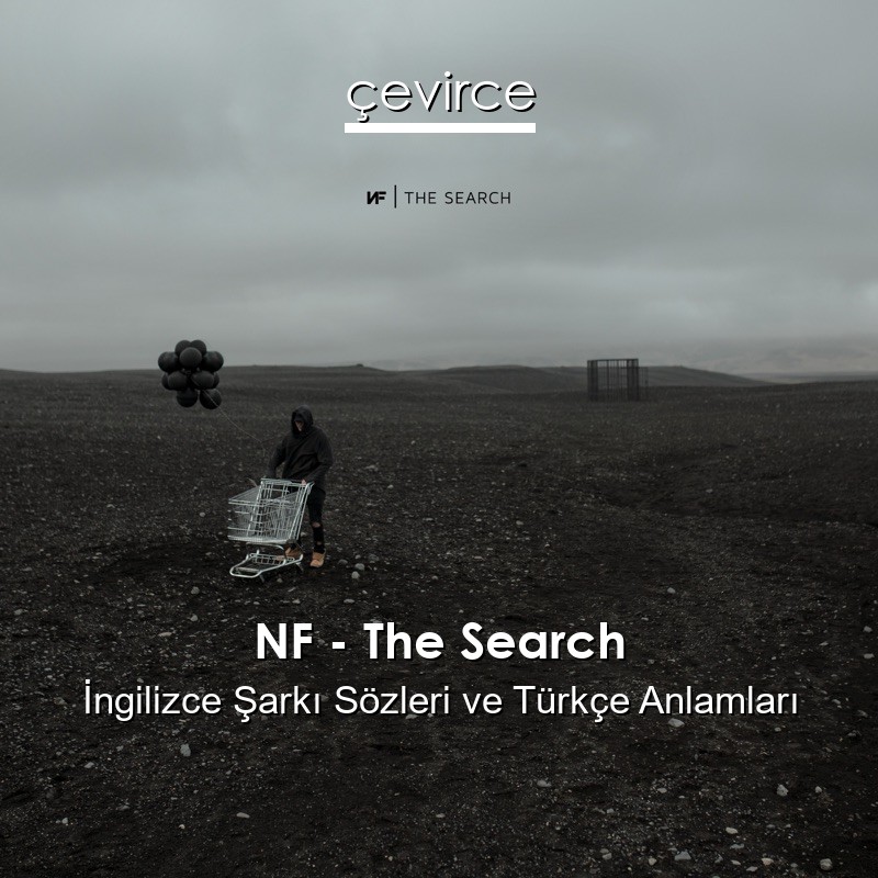 NF – The Search İngilizce Sözleri Türkçe Anlamları