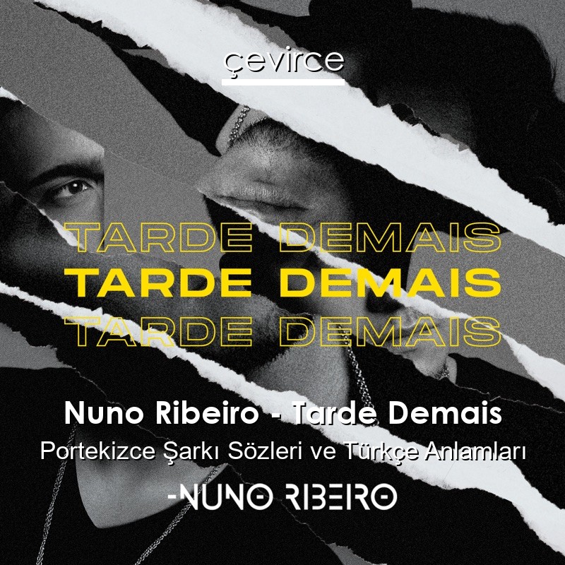 Nuno Ribeiro – Tarde Demais Portekizce Sözleri Türkçe Anlamları