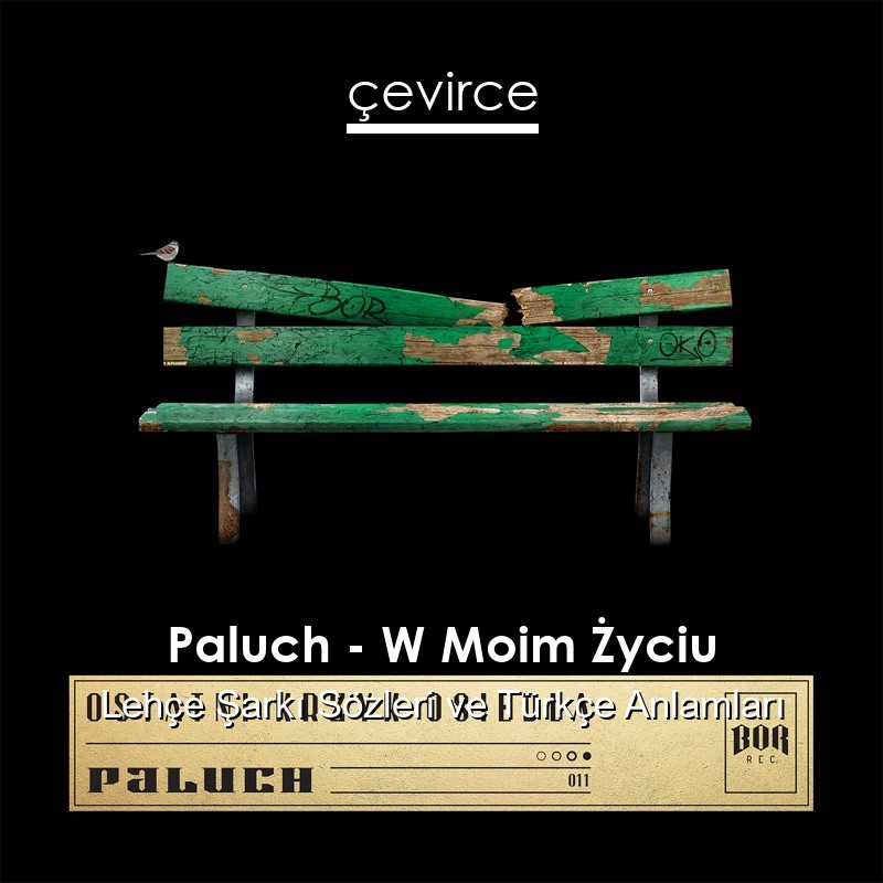 Paluch – W Moim Życiu Lehçe Sözleri Türkçe Anlamları