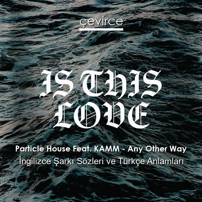 Particle House Feat. KAMM – Any Other Way İngilizce Sözleri Türkçe Anlamları