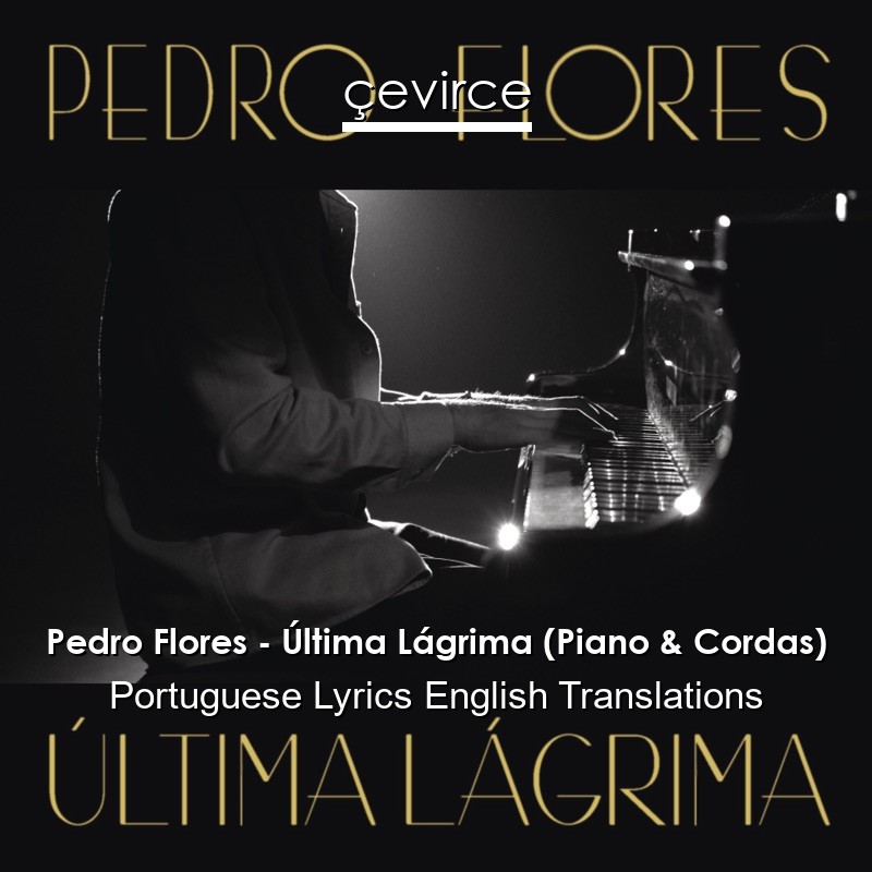 Pedro Flores – Última Lágrima (Piano & Cordas) Portuguese Lyrics English Translations