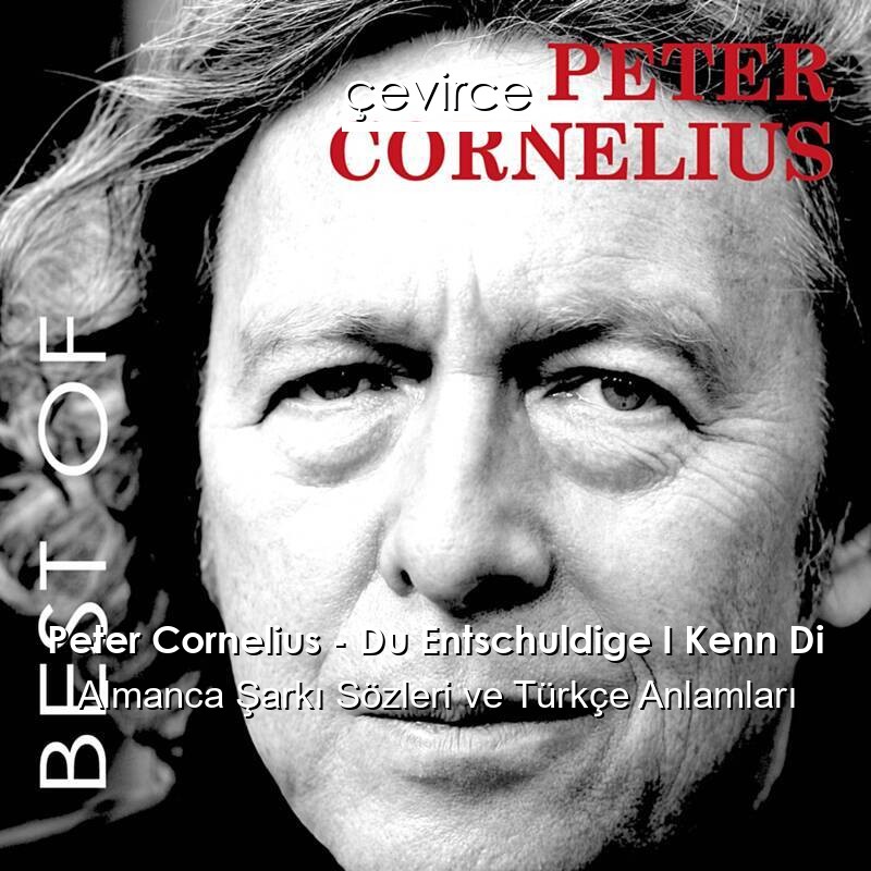 Peter Cornelius – Du Entschuldige I Kenn Di Almanca Sözleri Türkçe Anlamları