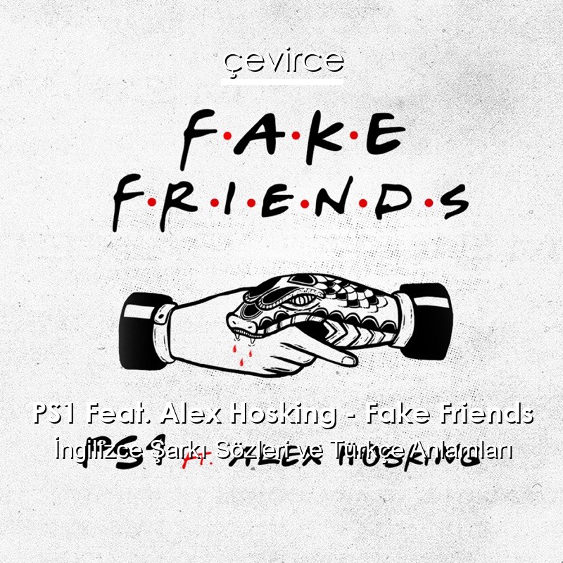 PS1 Feat. Alex Hosking – Fake Friends İngilizce Sözleri Türkçe Anlamları
