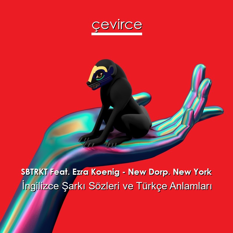 SBTRKT Feat. Ezra Koenig – New Dorp. New York İngilizce Sözleri Türkçe Anlamları