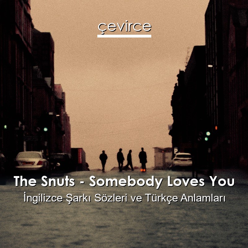 The Snuts – Somebody Loves You İngilizce Sözleri Türkçe Anlamları