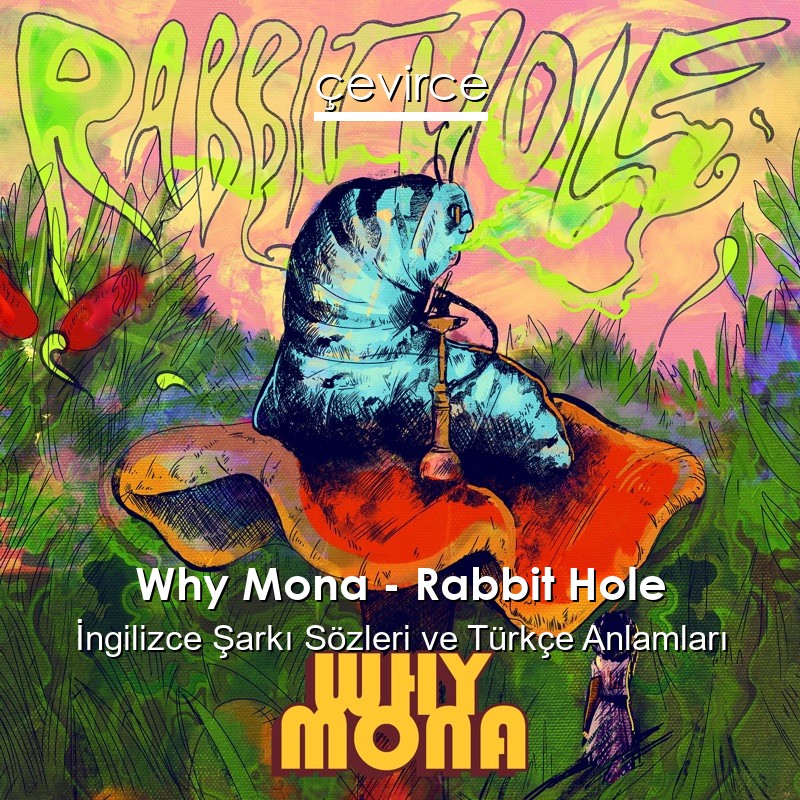 Why Mona – Rabbit Hole İngilizce Sözleri Türkçe Anlamları