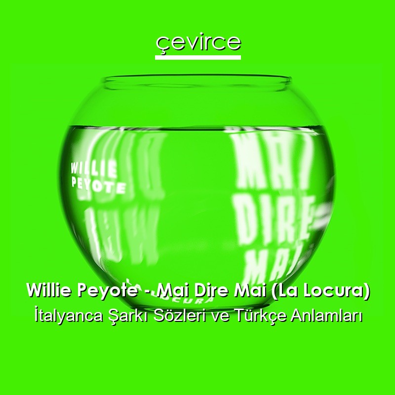 Willie Peyote – Mai Dire Mai (La Locura) İtalyanca Sözleri Türkçe Anlamları