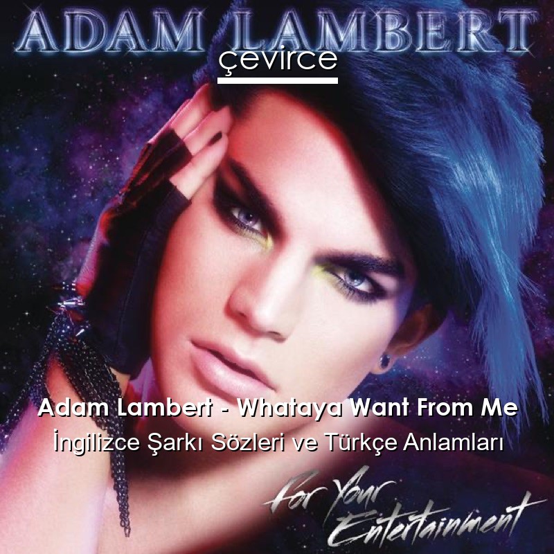 Adam Lambert – Whataya Want From Me İngilizce Şarkı Sözleri Türkçe Anlamları