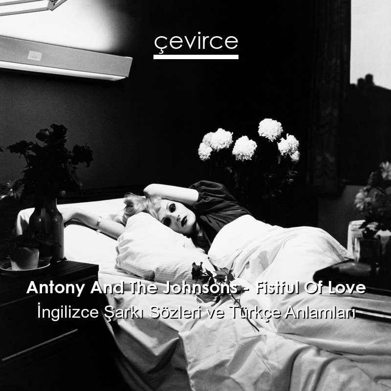 Antony And The Johnsons – Fistful Of Love İngilizce Şarkı Sözleri Türkçe Anlamları