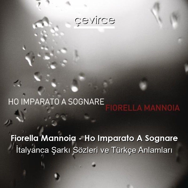 Fiorella Mannoia – Ho Imparato A Sognare İtalyanca Şarkı Sözleri Türkçe Anlamları