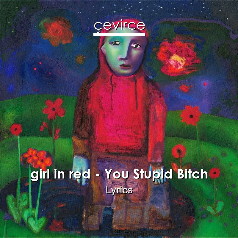 girl in red – You Stupid Bitch Lyrics