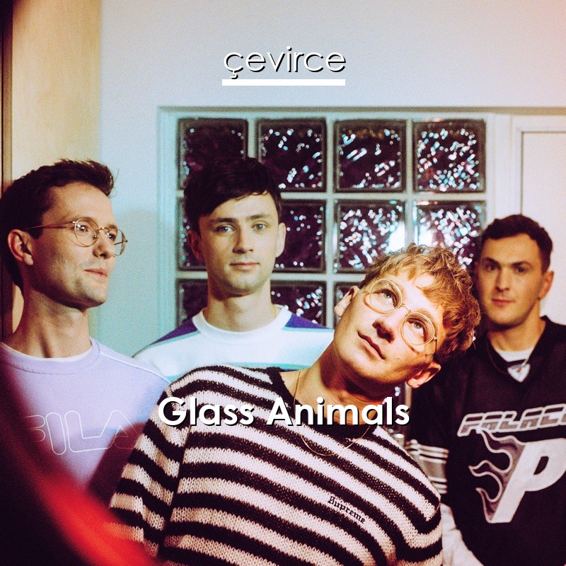 Glass Animals – Heat Waves (Sonny Fodera Remix) Lyrics - lyrics | çevirce Glass Animals – Heat Waves (Sonny Fodera Remix) Lyrics - lyrics | çevirce