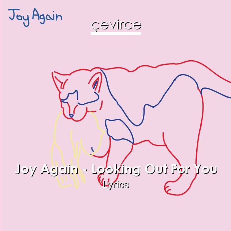 Joy Again – Looking Out For You Lyrics
