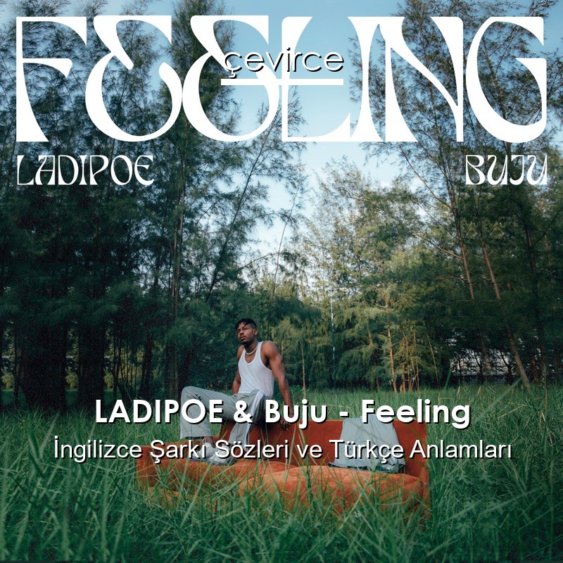 LADIPOE & Buju – Feeling İngilizce Şarkı Sözleri Türkçe Anlamları