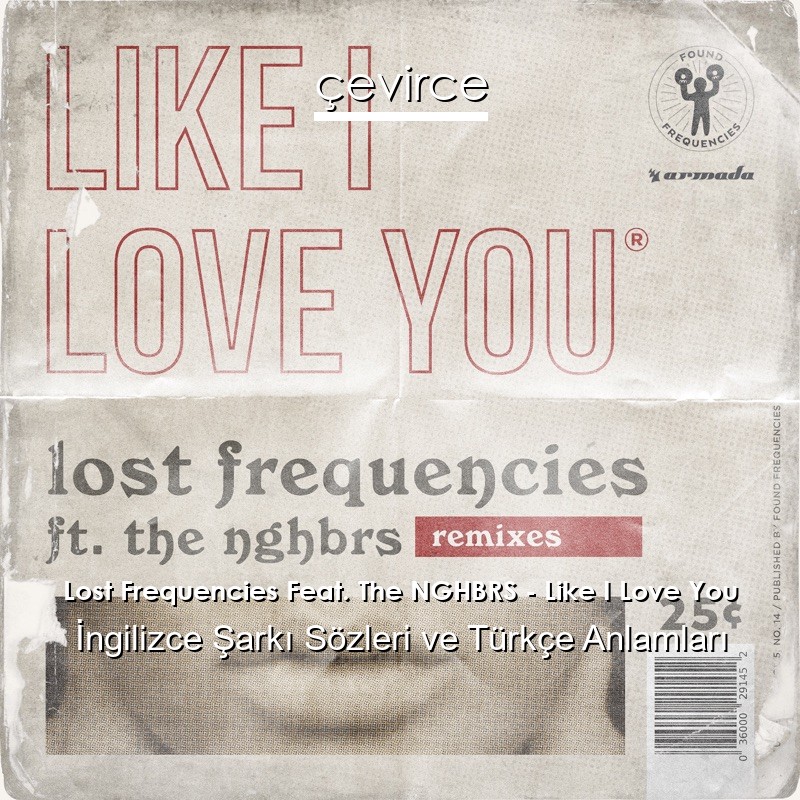 Lost Frequencies Feat. The NGHBRS – Like I Love You İngilizce Şarkı Sözleri Türkçe Anlamları