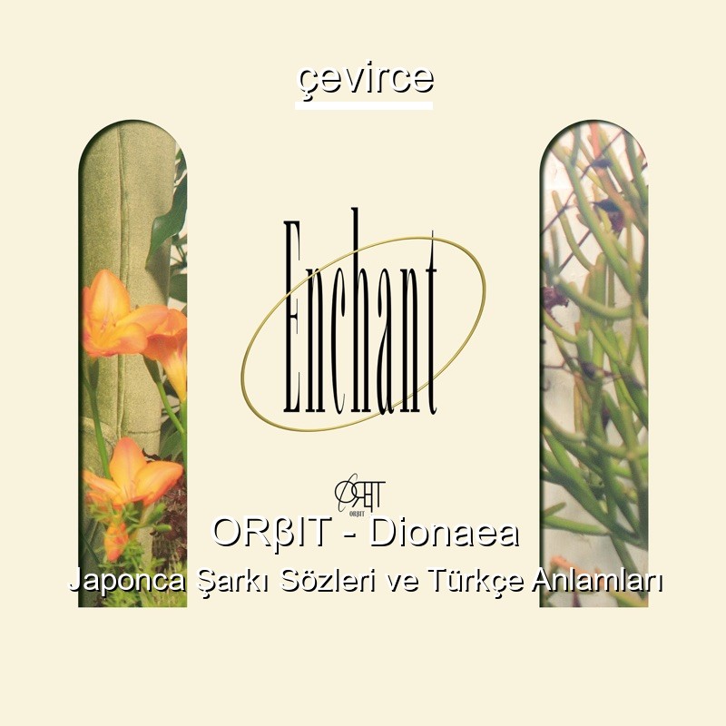 ORβIT – Dionaea Japonca Şarkı Sözleri Türkçe Anlamları