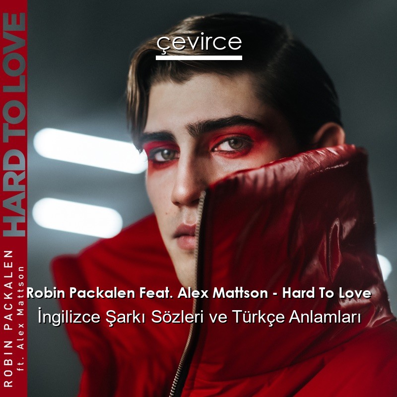 Robin Packalen Feat. Alex Mattson – Hard To Love İngilizce Şarkı Sözleri Türkçe Anlamları