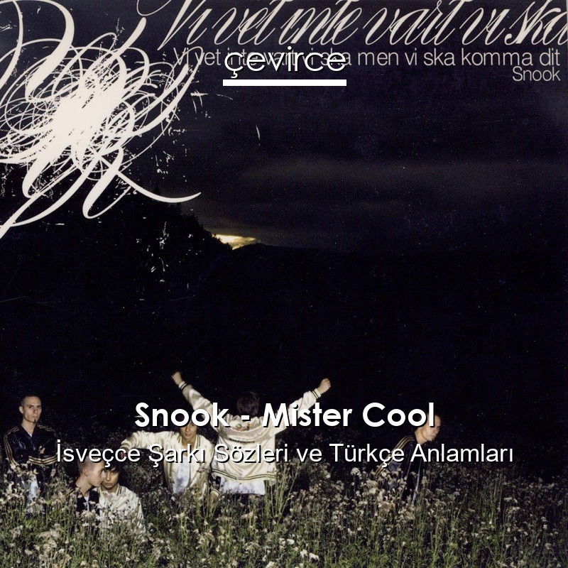 Snook – Mister Cool İsveçce Şarkı Sözleri Türkçe Anlamları
