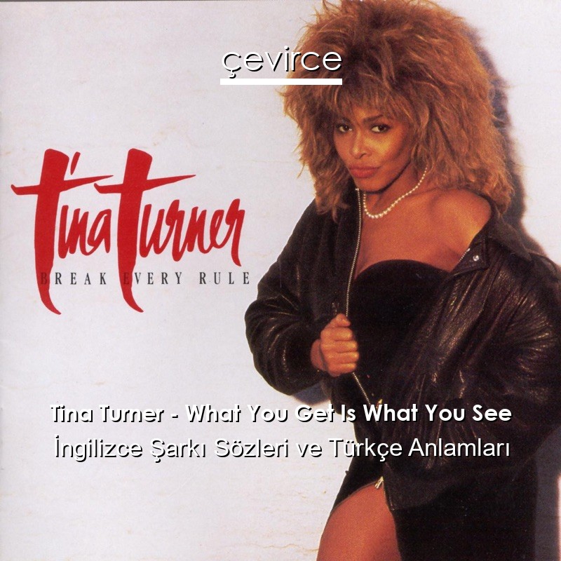 Tina Turner – What You Get Is What You See İngilizce Şarkı Sözleri Türkçe Anlamları