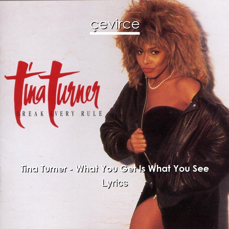Tina Turner – What You Get Is What You See Lyrics