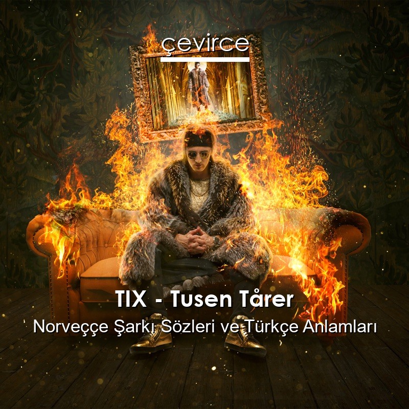 TIX – Tusen Tårer Norveççe Şarkı Sözleri Türkçe Anlamları