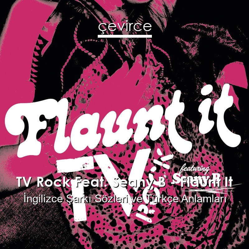 TV Rock Feat. Seany B – Flaunt It İngilizce Şarkı Sözleri Türkçe Anlamları