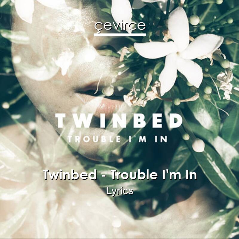 Twinbed – Trouble I’m In Lyrics