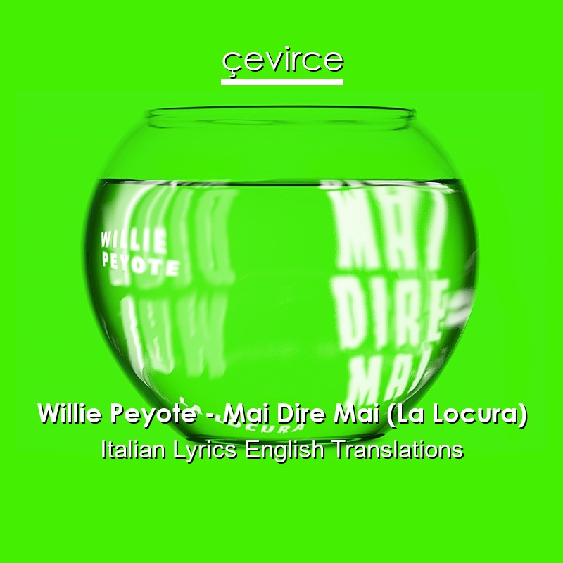 Willie Peyote – Mai Dire Mai (La Locura) Italian Lyrics English Translations