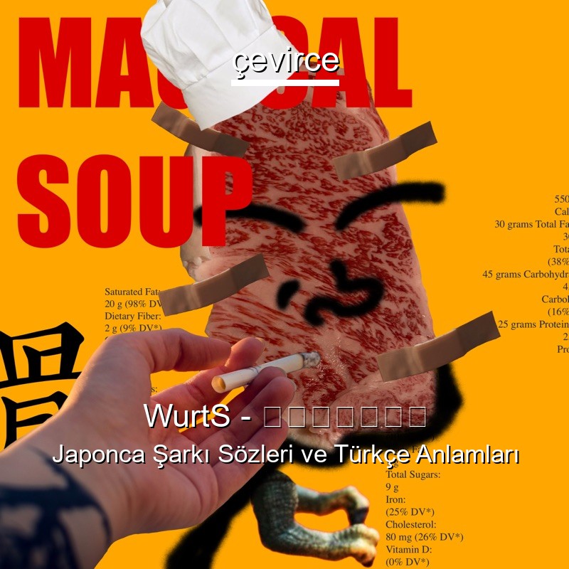 WurtS – 分かってないよ Japonca Şarkı Sözleri Türkçe Anlamları