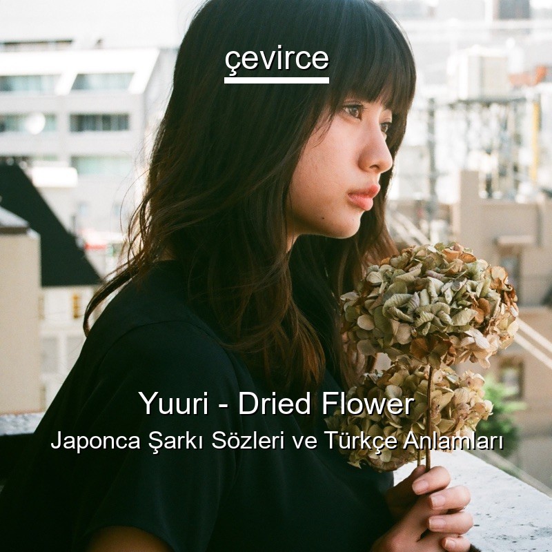 Yuuri – Dried Flower Japonca Şarkı Sözleri Türkçe Anlamları