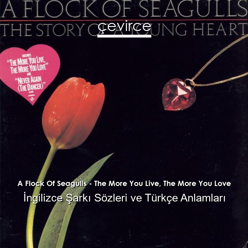 A Flock Of Seagulls – The More You Live, The More You Love İngilizce Şarkı Sözleri Türkçe Anlamları