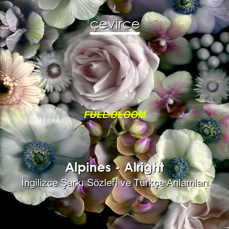 Alpines – Alright İngilizce Şarkı Sözleri Türkçe Anlamları