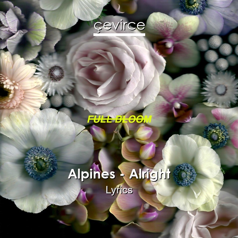 Alpines – Alright Lyrics