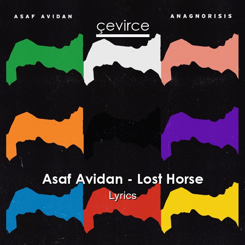 Asaf Avidan – Lost Horse Lyrics